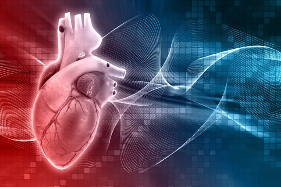 mortes por doenças cardiovasculares